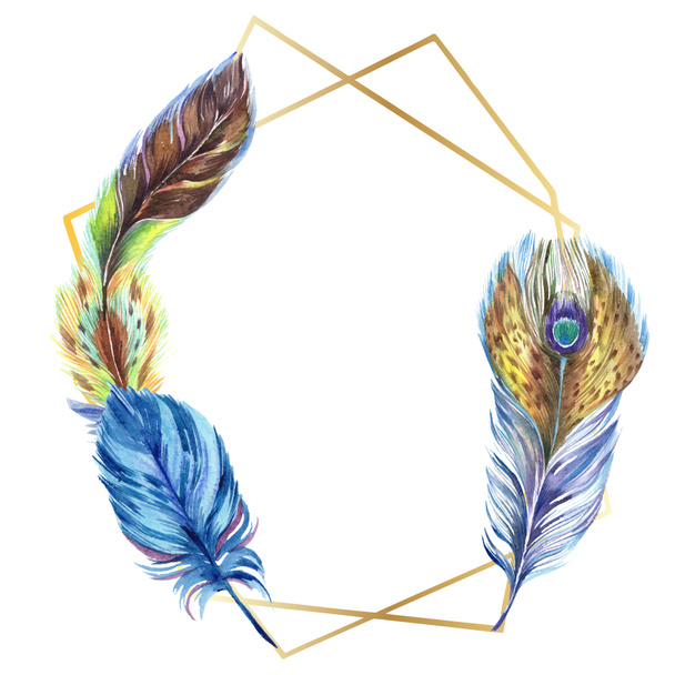 Des plumes colorées. Plume d'oiseau aquarelle de l'aile isolée. Plume Aquarelle pour fond, texture, motif enveloppant, cadre ou bordure. Bordure du cadre
  - Photo, image