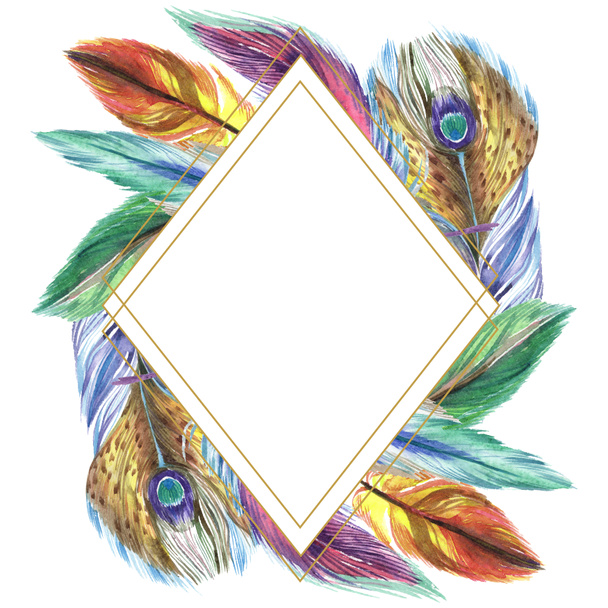 Des plumes colorées. Plume d'oiseau aquarelle de l'aile isolée. Plume Aquarelle pour fond, texture, motif enveloppant, cadre ou bordure. Bordure du cadre
  - Photo, image