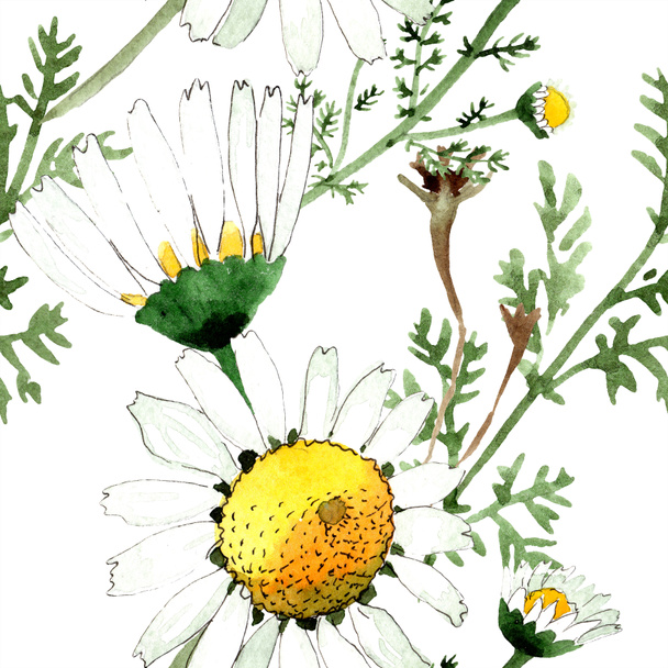 Wild spring Chamomile flowers. Watercolor illustration set. Watercolour drawing fashion aquarelle. Seamless background pattern. Fabric wallpaper print texture. - Foto, immagini
