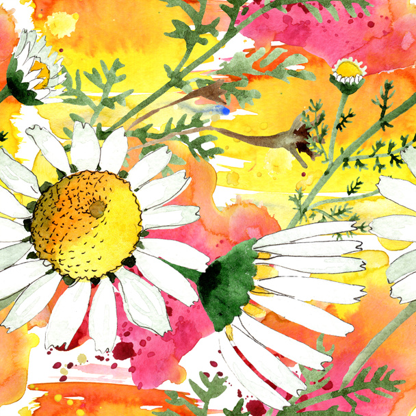 Wild spring Chamomile flowers. Watercolor illustration set. Watercolour drawing fashion aquarelle. Seamless background pattern. Fabric wallpaper print texture. - Foto, imagen