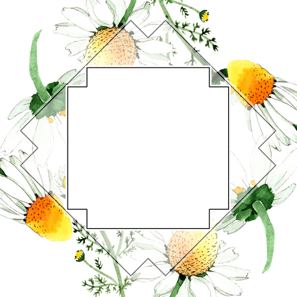 Wild spring Chamomile flowers. Watercolor background illustration set. Watercolour drawing fashion aquarelle isolated. Frame border - Foto, immagini
