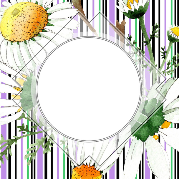 Дикі весняні квіти ромашки. Набір ілюстрацій для акварельного фону. Акварельний малюнок моди акварель ізольовано. Межа рамки
 - Фото, зображення