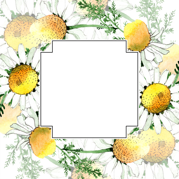 Wild spring Chamomile flowers. Watercolor background illustration set. Watercolour drawing fashion aquarelle isolated. Frame border - Fotó, kép