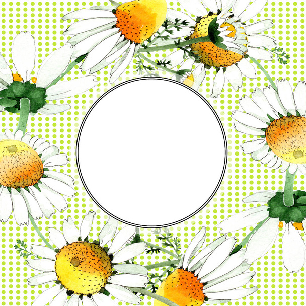 Άγρια άνοιξη λουλούδια χαμομηλιού. Ακουαρέλα φόντο εικόνα σύνολο. Ακουαρέλα σχεδίασης μόδας aquarelle απομονωμένη. Σύνορα πλαισίων - Φωτογραφία, εικόνα