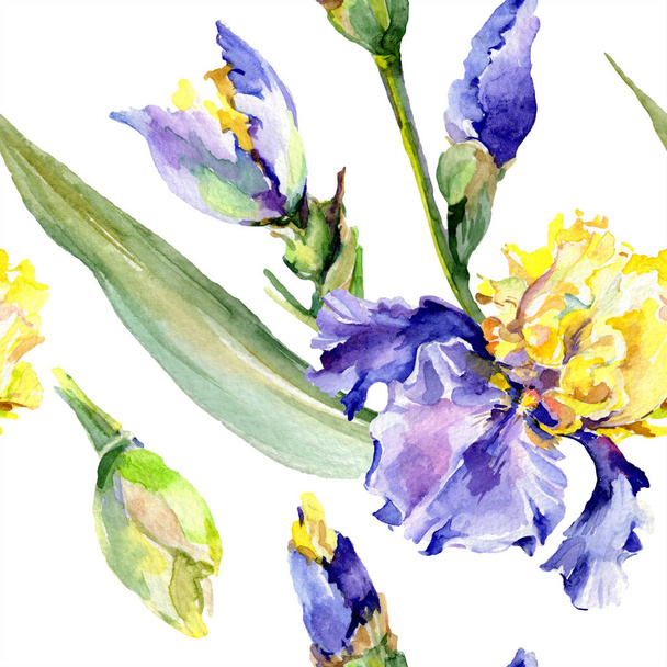 Purple yellow irises background. Hand drawn botanical flowers. Watercolor background illustration set. Watercolour drawing fashion aquarelle. - Foto, Imagem