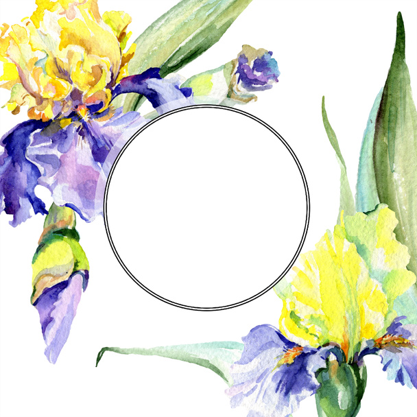 Rahmen mit lila und gelben Schwertlilien. Aquarell Hintergrund Illustration mit Blumen gesetzt. Aquarellzeichnung Mode-Aquarell.  - Foto, Bild