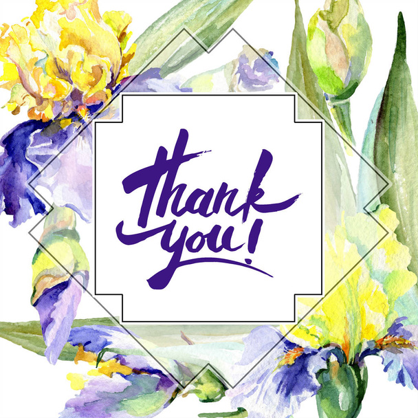 Purple yellow iris flowers. Watercolor background illustration set. Watercolour drawing fashion aquarelle. Frame border with Thank you handwriting monogram calligraphy. - Photo, Image