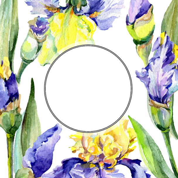 Frame with purple and yellow irises. Watercolor background illustration set with flowers. Watercolour drawing fashion aquarelle.  - Фото, изображение