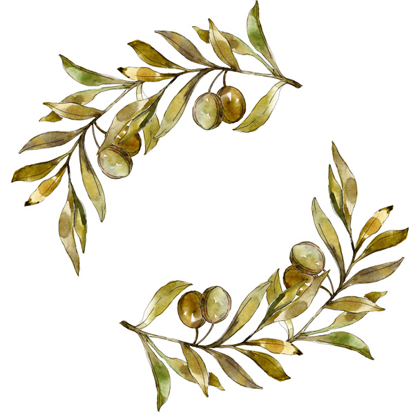 Рамка с зелеными оливковыми акварелями набор фоновых иллюстраций. Изолированная акварель акварель
. - Фото, изображение