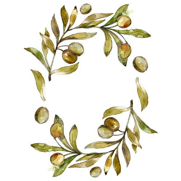Cadre avec des olives vertes aquarelle fond illustration ensemble. Aquarelle dessin mode aquarelle isolé
. - Photo, image