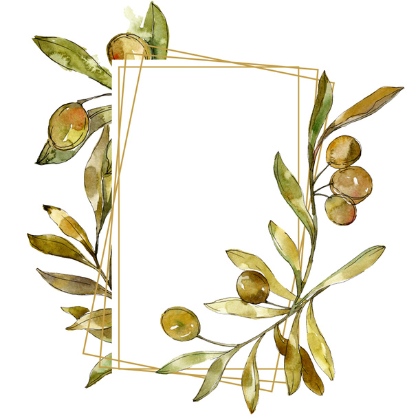 grüne Oliven Aquarell Hintergrund Illustrationsset. Aquarellzeichnung Modeaquarell isoliert. Rahmenrand  - Foto, Bild