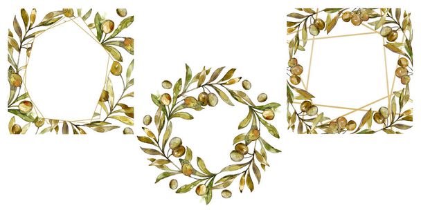 Cornici con olive verdi acquerello sfondo illustrazione set. Acquerello disegno moda acquerello isolato
.  - Foto, immagini