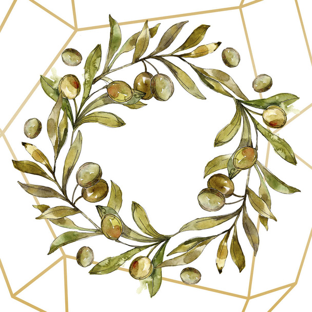 Рамка з зеленими оливками акварельний набір ілюстрацій фону. Акварельний малюнок моди акварель ізольовано
.  - Фото, зображення