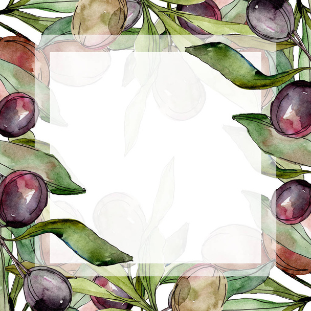 Frame with Black olives watercolor background. Watercolour drawing set. - Foto, imagen