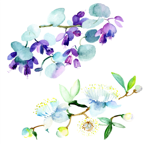 Bouquet of purple flowers. Watercolor background illustration set. Watercolour drawing fashion aquarelle isolated. Isolated bouquet illustration element. - Foto, Imagem