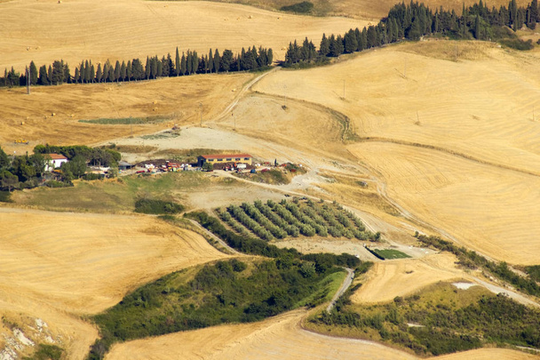 Вид на типовий пейзаж Тоскани влітку (Італія). - Фото, зображення