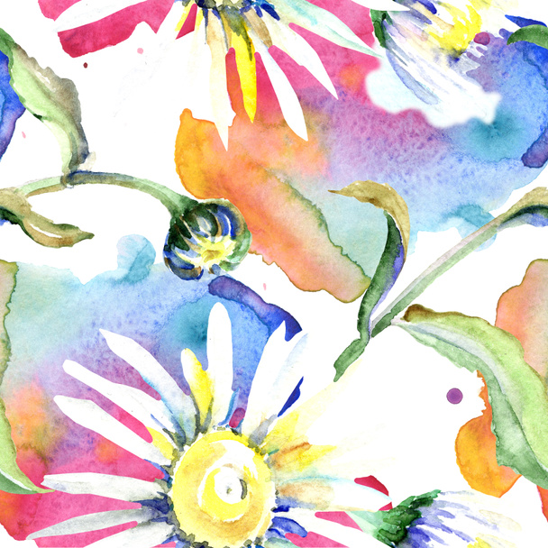 Daisy flowers background. Watercolor background illustration set. Watercolour drawing aquarelle isolated. Seamless background pattern. Fabric wallpaper print texture. - Фото, изображение