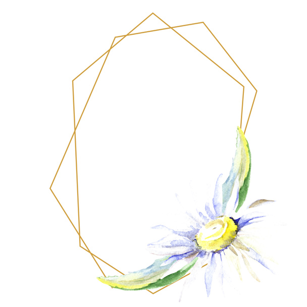 Frame with one daisy flower. Watercolor background illustration set. Watercolour drawing fashion aquarelle isolated.   - Photo, Image