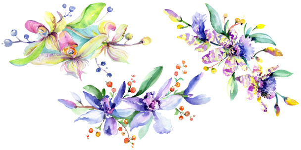 Orquídeas roxas e cor-de-rosa. Conjunto de ilustração de fundo aquarela. Flor aquarela buquê ilustração elemento
. - Foto, Imagem