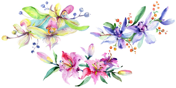 Orquídeas rosadas y moradas. Conjunto de ilustración de fondo acuarela. Acuarela ramo de flores elemento de ilustración
. - Foto, Imagen