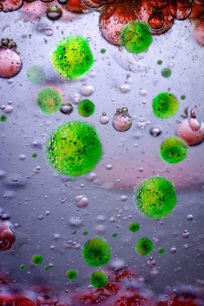 Agyhártyagyulladás baktériumok, más néven a meningococcus, a fogalmi kép-szoros fel - Fotó, kép