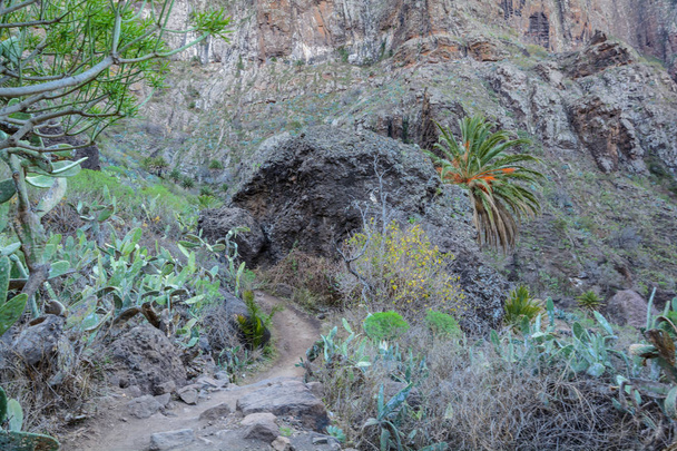 Ravin du Maska, falaises, Ténérife. sentier dans la gorge Maska
 - Photo, image