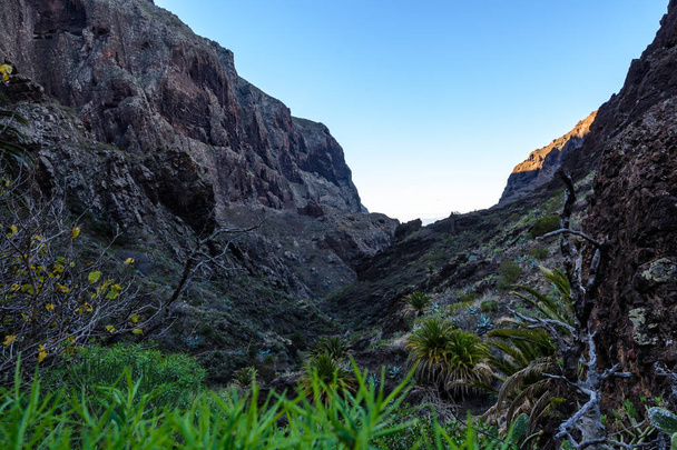 Barranco de Maska, acantilados, Tenerife. sendero en el desfiladero Maska
 - Foto, imagen