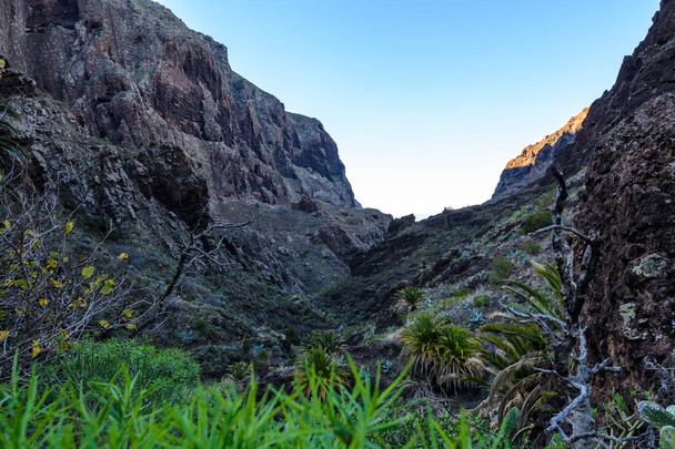 Маска Байрак, скелі, Тенеріфе. Trail в ущелину маска - Фото, зображення