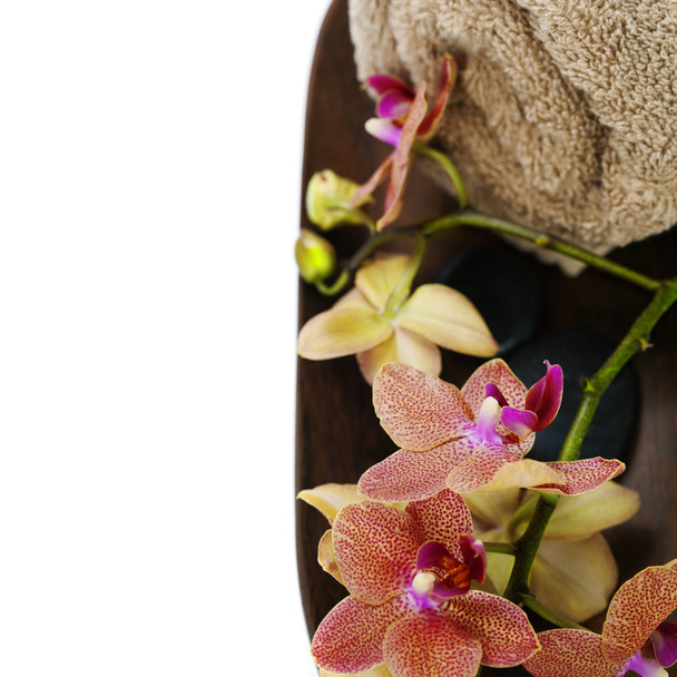 Спа композиція з красивою орхідеєю
 - Фото, зображення