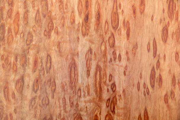 wood texture of eucalyptus veneer - Φωτογραφία, εικόνα