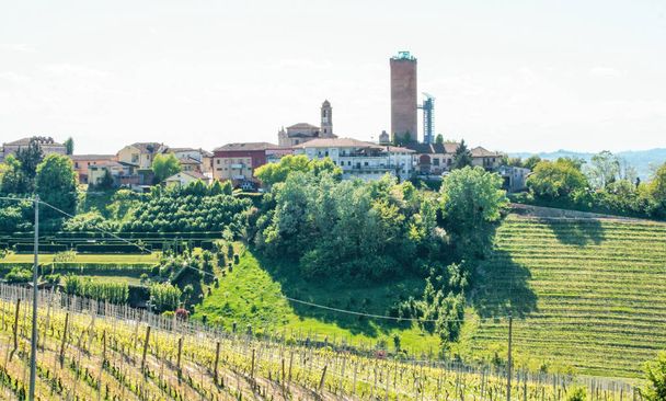 Landscape of langhe and the village of Barbaresco with its tower, Piedmont, Italy - Photo, Image