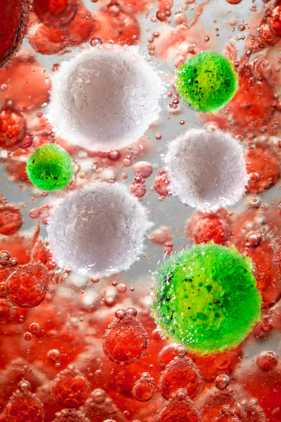 Κοντινό πλάνο της μηνιγγίτιδας βακτήρια με λευκά αιμοσφαίρια εννοιολογική εικόνα - Φωτογραφία, εικόνα