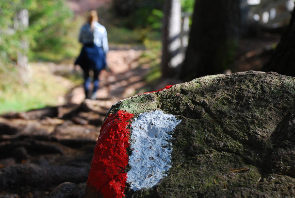 Vörös és fehér mark nyomon a kő. Erdei út, gyalogos út nyomvonal jele. Hafling, a módja annak, hogy a Wurzer Alm, Dél-Tirol, Olaszország - Fotó, kép