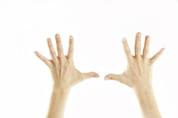 Close-up female tender hands on a white isolated background. Conventional labeling. Signs and symbols - 写真・画像