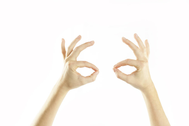 Close-up female tender hands on a white isolated background. Conventional labeling. Signs and symbols - 写真・画像