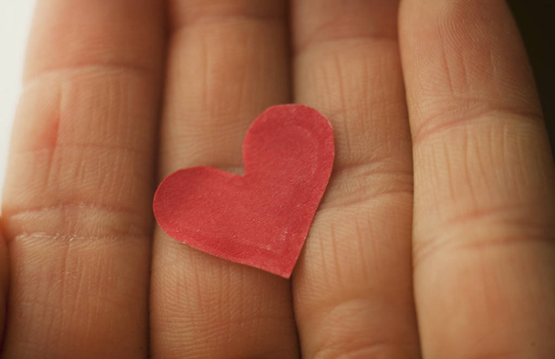 Corazón rojo en las manos de cerca. Abstracción amor y salud
 - Foto, Imagen