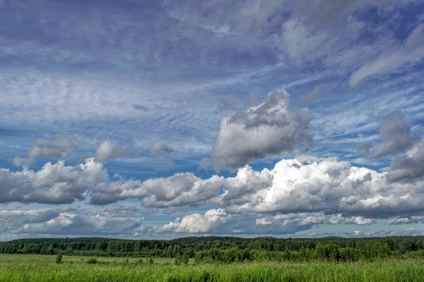 Summer landscape on the edge of a forest on a hot day - Fotoğraf, Görsel