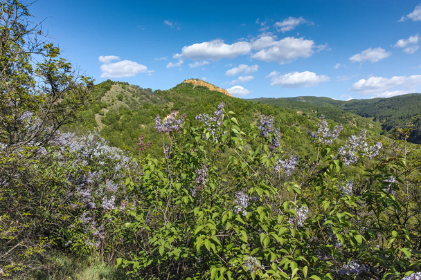 Пейзаж вблизи скальной формации Стоб пирамиды, Рила Гора, Кюстендил области, Болгария
 - Фото, изображение