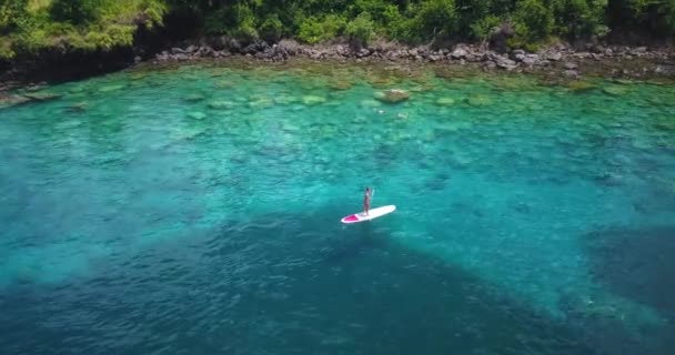 Vista aérea del dron de niña haciendo Stand up paddleboard en aguas tropicales claras en una isla caribeña con gente haciendo snorkel
 - Metraje, vídeo