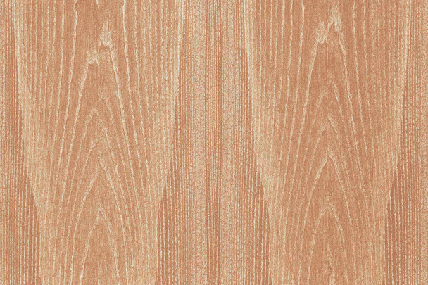 frassino marrone chiaro legno albero struttura legno texture sfondo
 - Foto, immagini