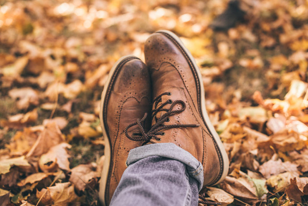 秋の紅葉に囲まれた公園の茶色い靴 - 写真・画像