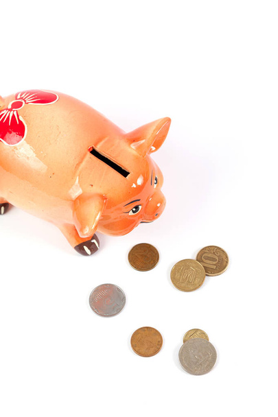 Piggy bank in the shape of a pig symbol of 2019 on a white background close-up. Nearby are round coin - Foto, Imagen