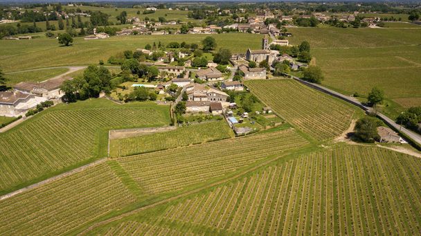 Légi kilátás Montagne Saint-Emilion, Aquitaine, Franciaország, Bordeaux Wineyard - Fotó, kép