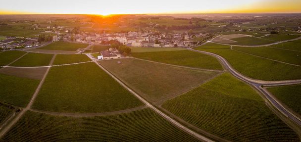 Antenowe winnic Bordeaux widok, dzielnicy Saint-Emilion, Akwitania departamencie Żyronda, Francja, Europa, - Zdjęcie, obraz