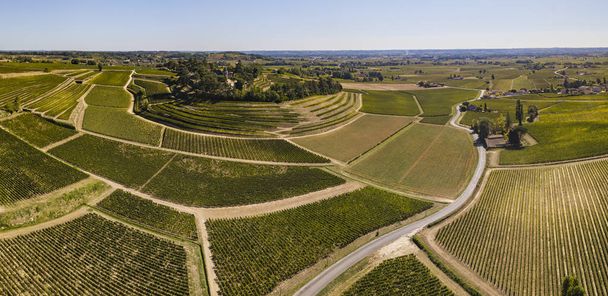 Aerial View Bordeaux vineyards, Saint-Emilion, Aquitaine area of the Gironde department, France, Europe, - Фото, изображение