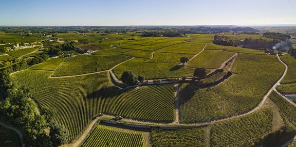 Aerial View Bordeaux vineyards, Saint-Emilion, Aquitaine area of the Gironde department, France, Europe, - Foto, Bild