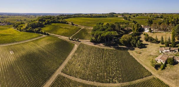 Vista aérea de los viñedos de Burdeos, Saint-Emilion, Aquitania, departamento de Gironda, Francia, Europa
, - Foto, imagen