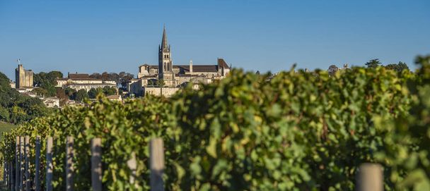 Güzel gündoğumu Köyü, Saint Emilion, bağ, Gironde, Fransa, Avrupa - Fotoğraf, Görsel