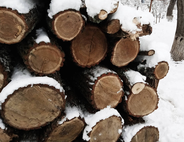 Im Winter liegt der Holzstapel im Schnee. Naturholz unter einer Schneeschicht. - Foto, Bild