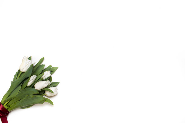 букет білих тюльпанів на білому тлі
 - Фото, зображення